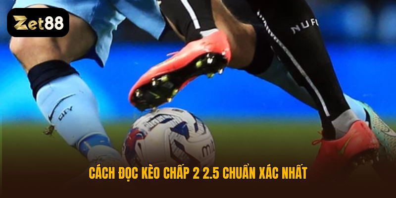 Kèo chấp 2 2.5 là gì