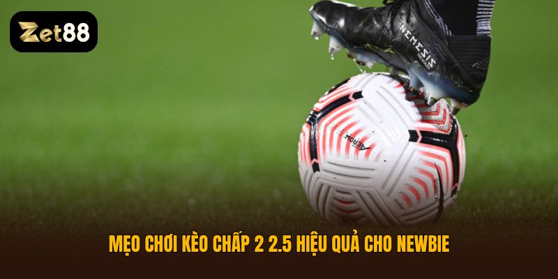 Kèo chấp 2 2.5 là gì